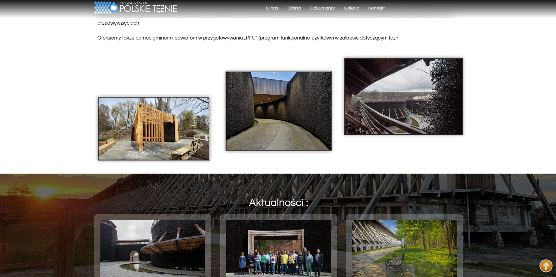 Stowarzyszenie Polskie tężnie strona www